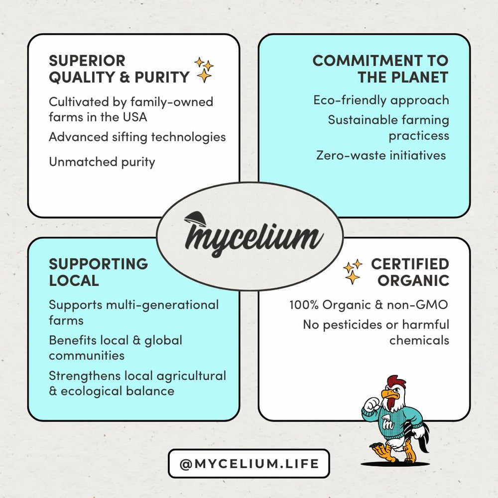 Diversité nutritionnelle Mycelium Calopsitte Premier, textures et saveurs pour l’intérêt alimentaire.