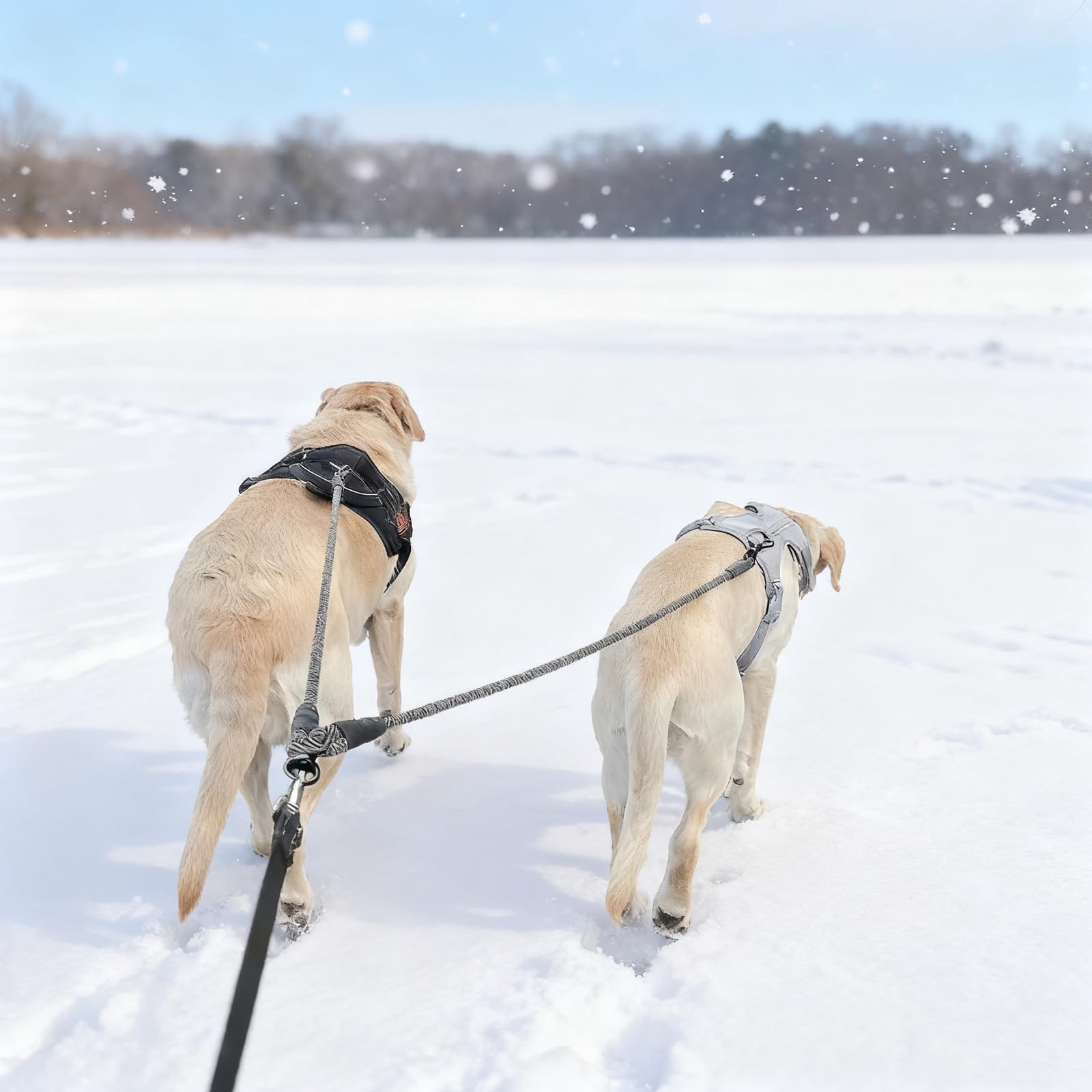 Mycicy coupleur double-chien robuste et durable.