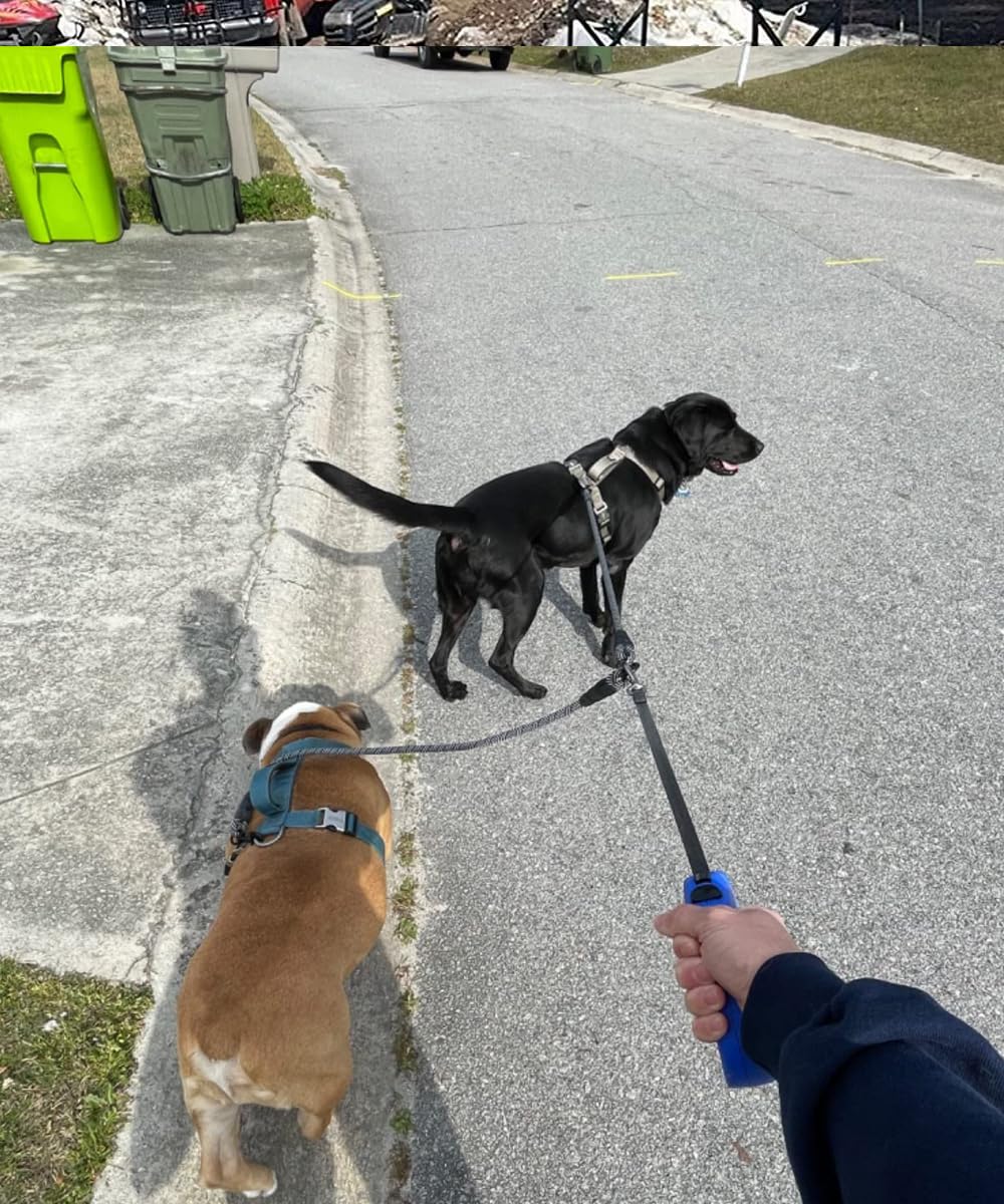 Mycicy coupleur double-chien pratique pour promenade en duo.