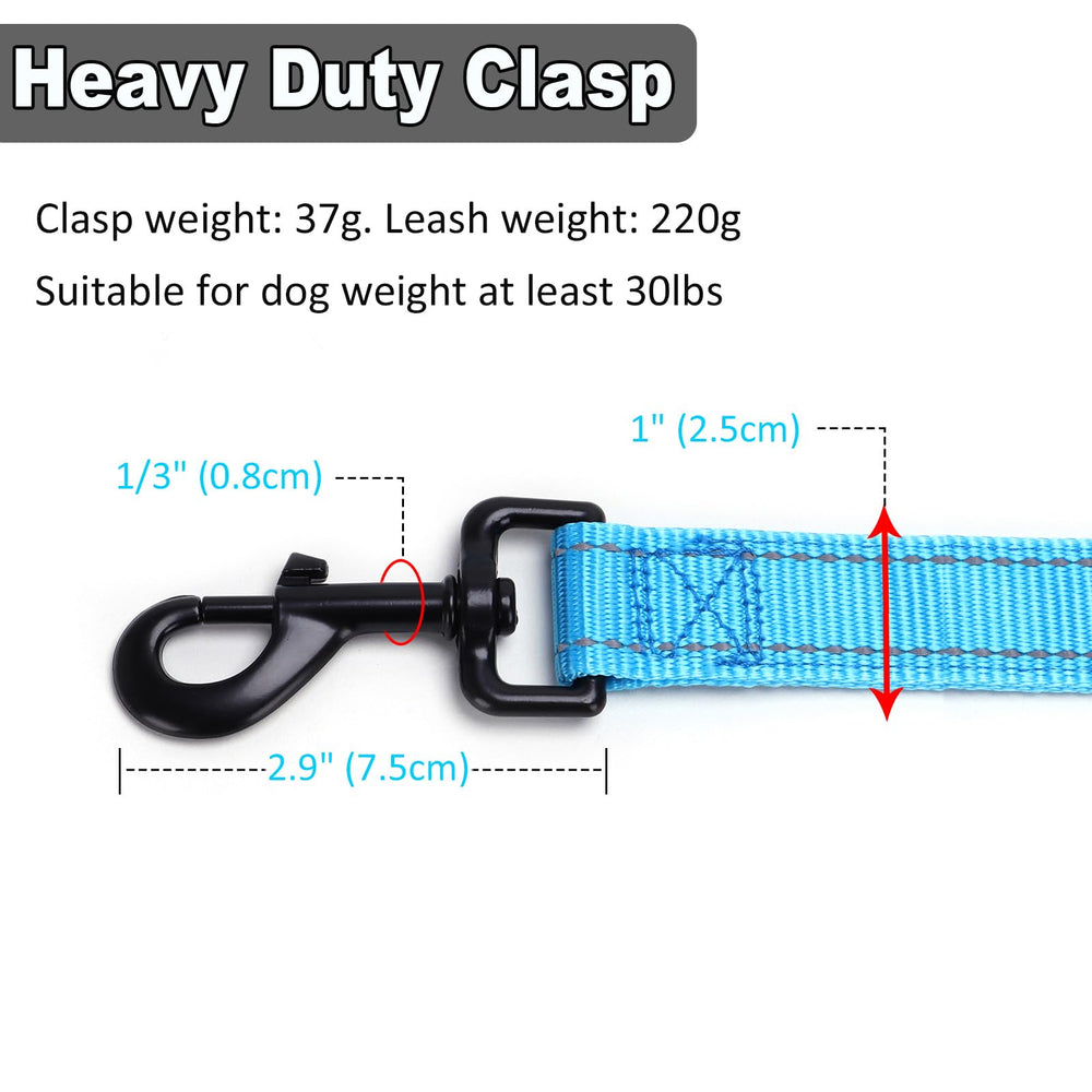 Mycicy laisse 10 pieds en action offre plus de liberte pour l exploration securisee