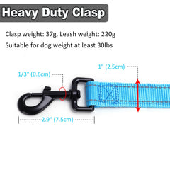 Mycicy laisse 10 pieds en action offre plus de liberte pour l exploration securisee
