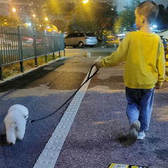 Mycicy laisse chien attache verrou-securite: fermeture robuste pour prévenir les sorties.