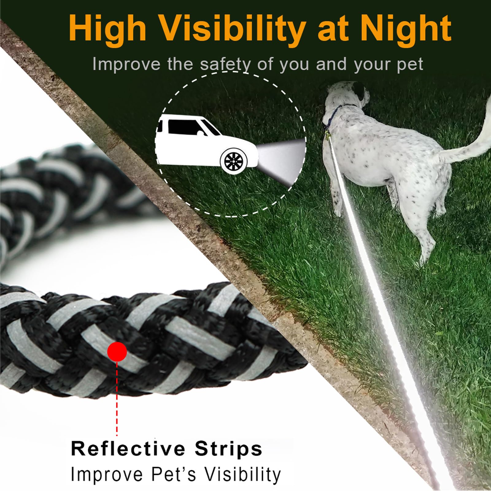 Mycicy laisse-chien couleur vive: visibilité et style pour sorties quotidiennes.