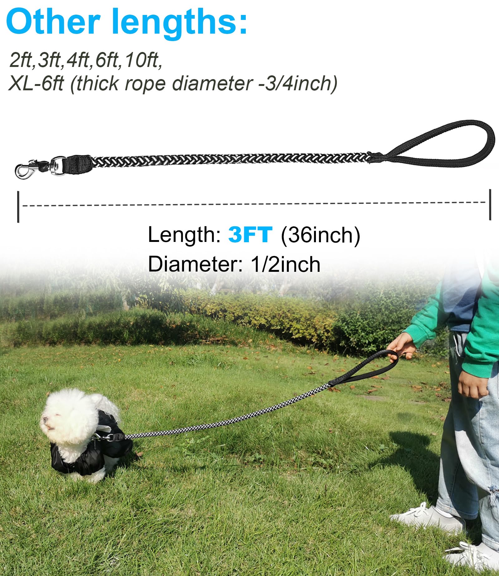 Mycicy laisse chien fil nylon braide: robustesse et légèreté pour toutes les sorties.