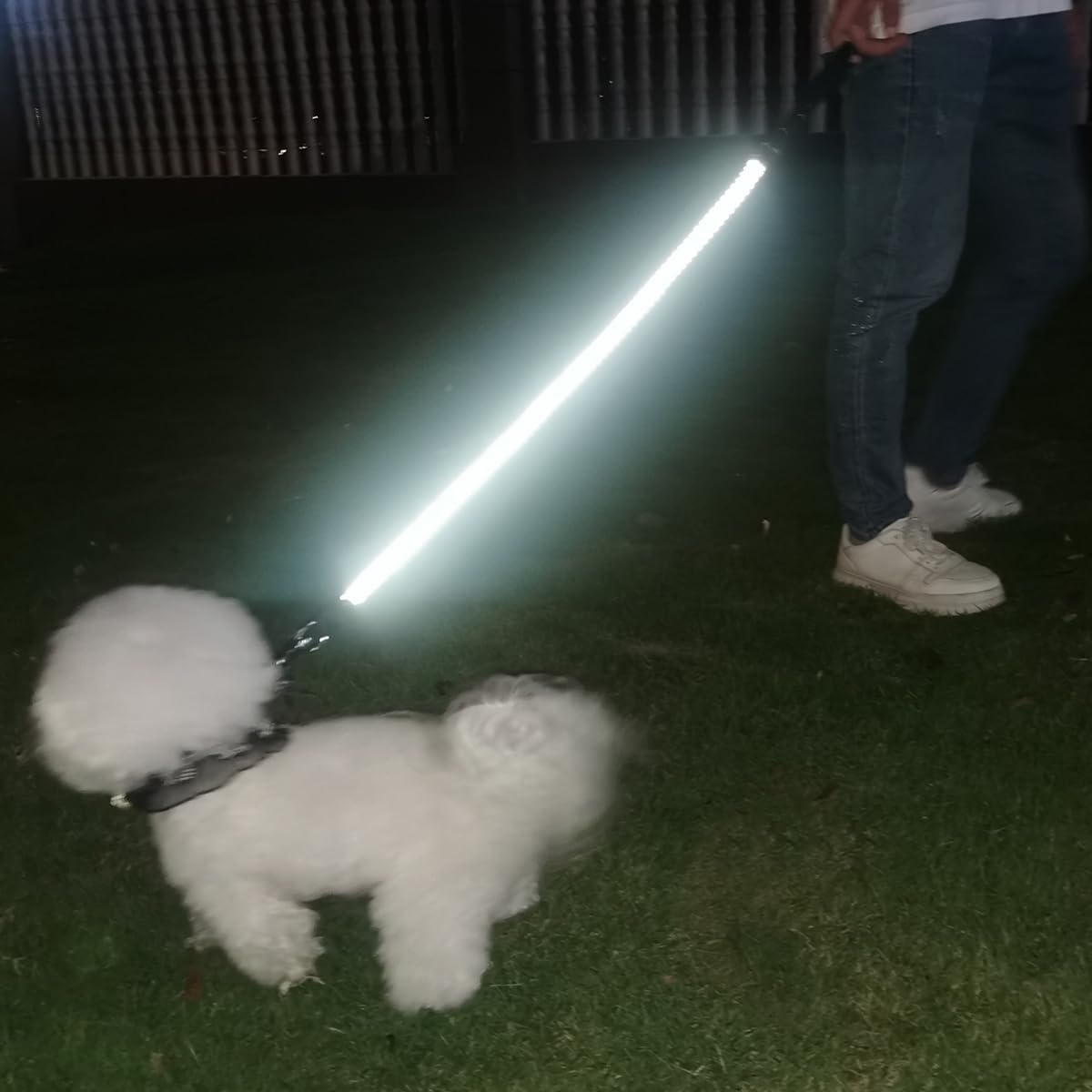 Mycicy laisse-chien utilisation quotidienne: robuste et polyvalente pour tous les jours.