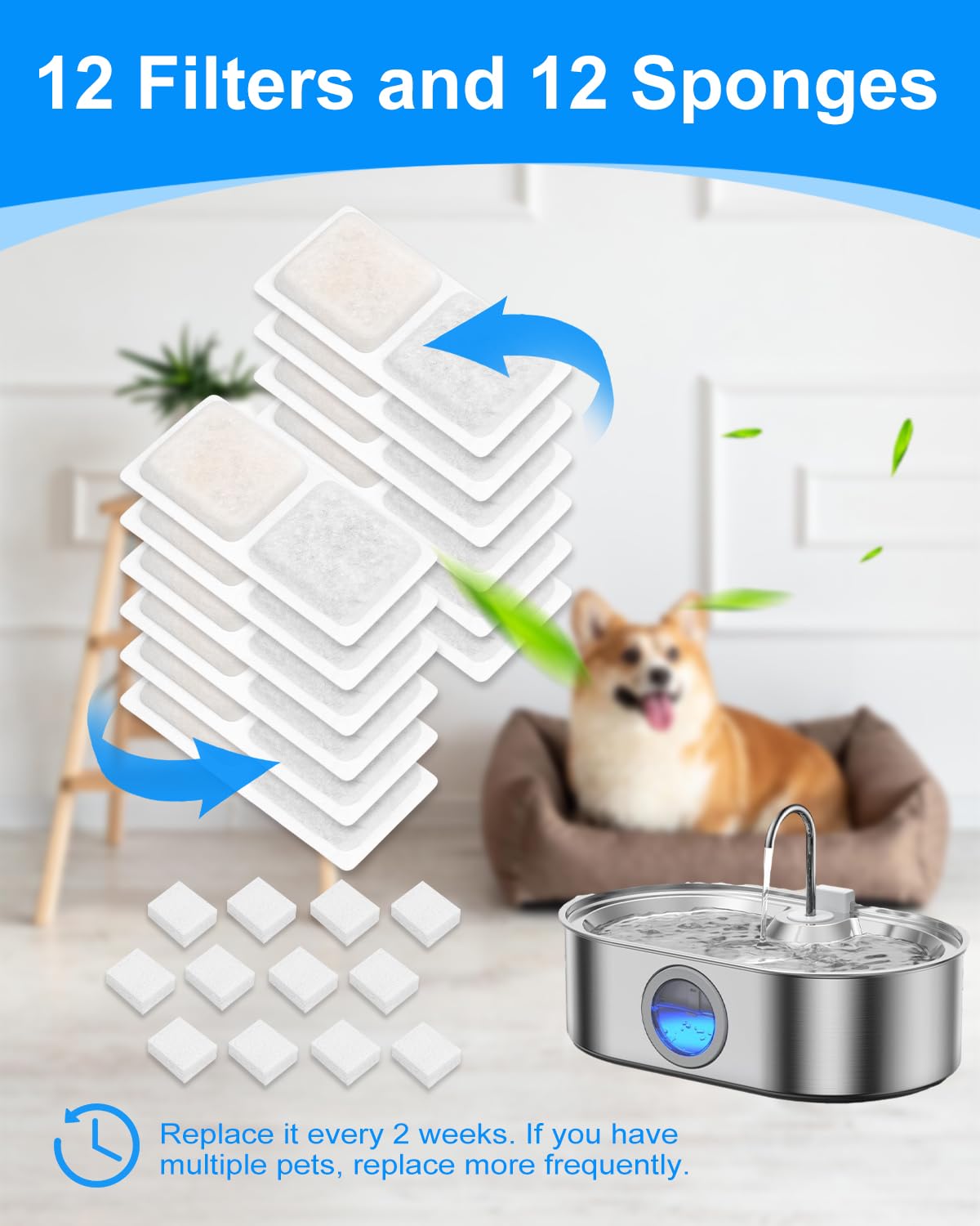 Système filtration MyfatBOSS pour eau de chien gros, réduction des impuretés.