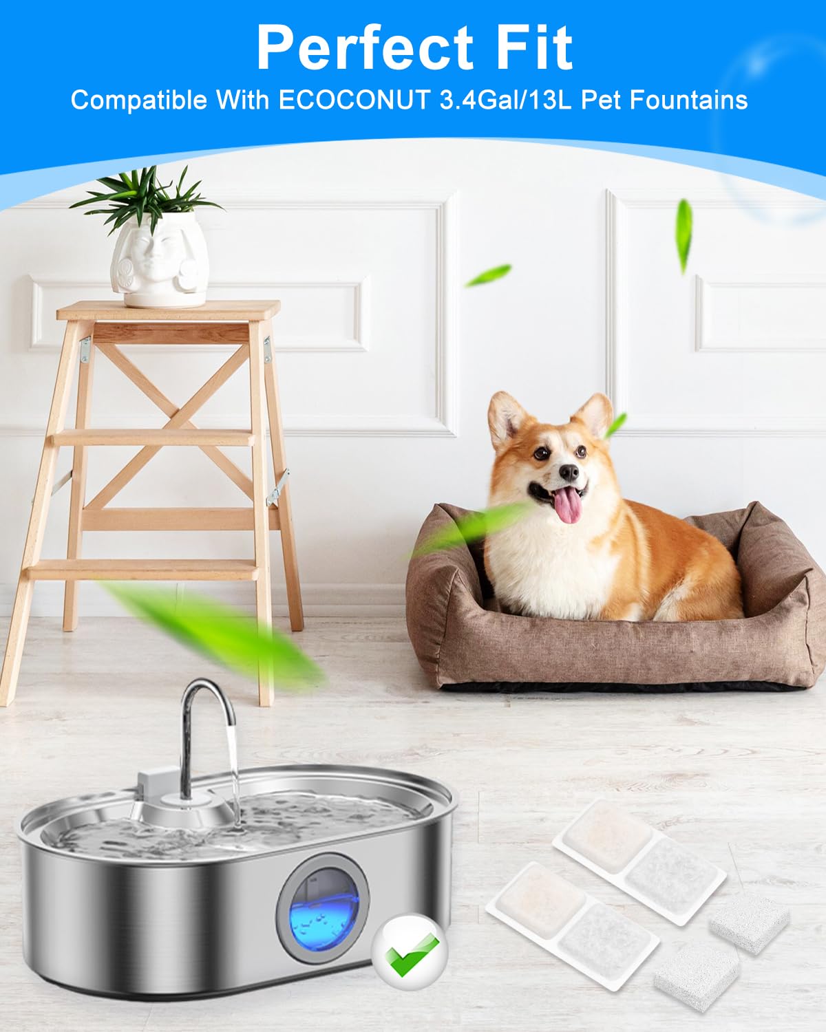 Filtre éponge MyfatBOSS pour chien gros, filtration améliorée.