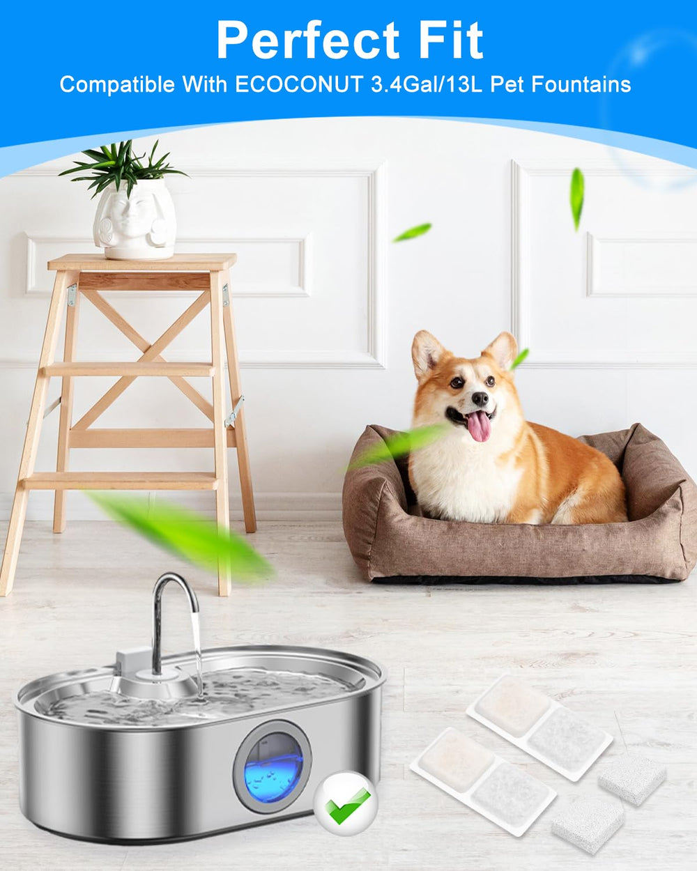 Filtre éponge MyfatBOSS pour chien gros, filtration améliorée.