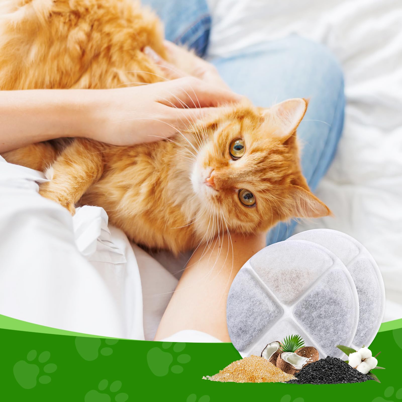 Usage quotidien MyfatBOSS: eau claire et attrayante pour votre chat.