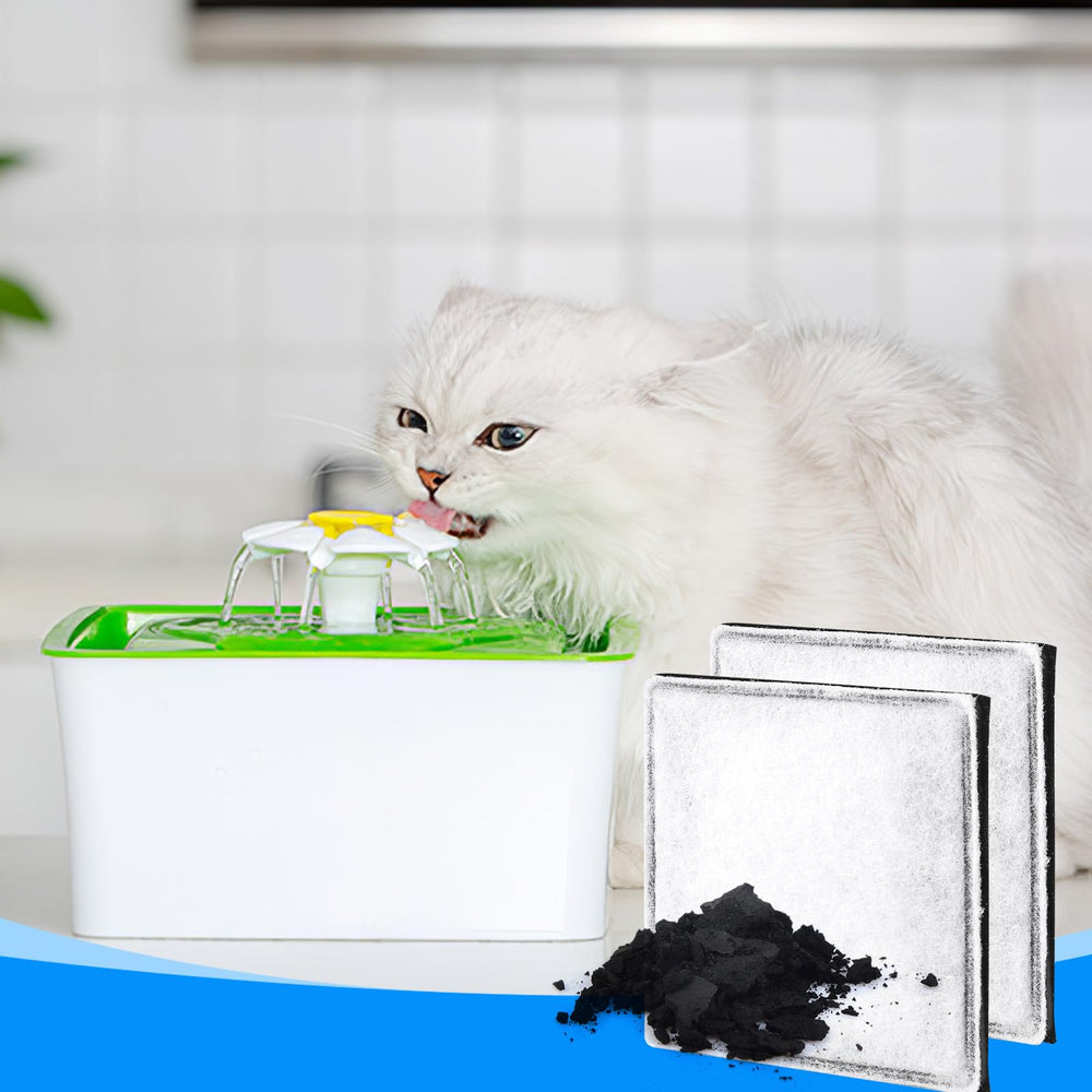 Utilisation longue durée MyfatBOSS, filtre à remplacer régulièrement pour eau fraîche.