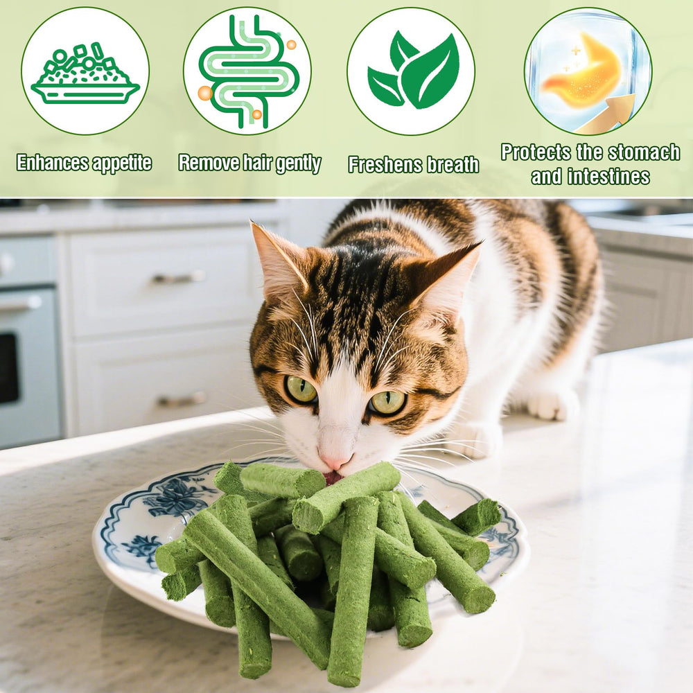 Myfoodog sticks pour chat, collations saines pour grignotage et hygiène dentaire.