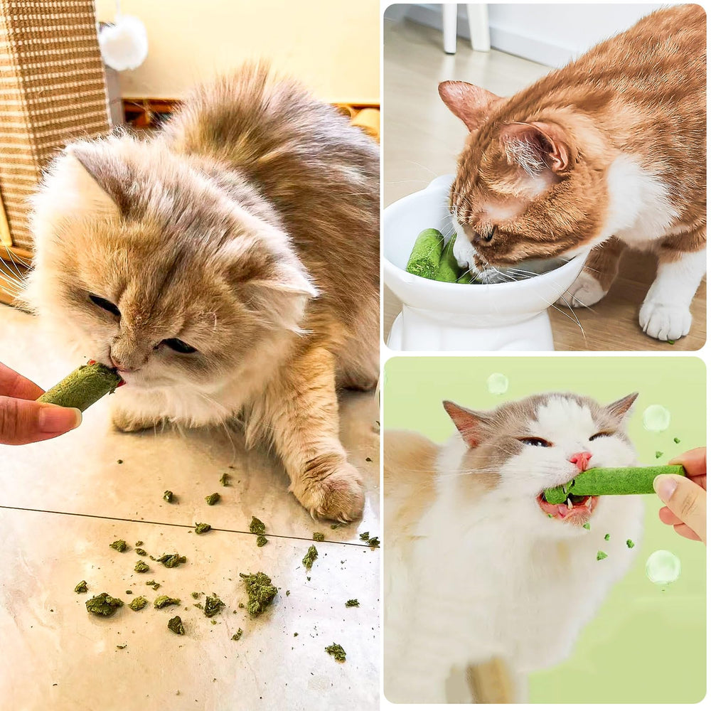Fabriqué aux États-Unis: Myfoodog sticks pour chats, sécurité et qualité.