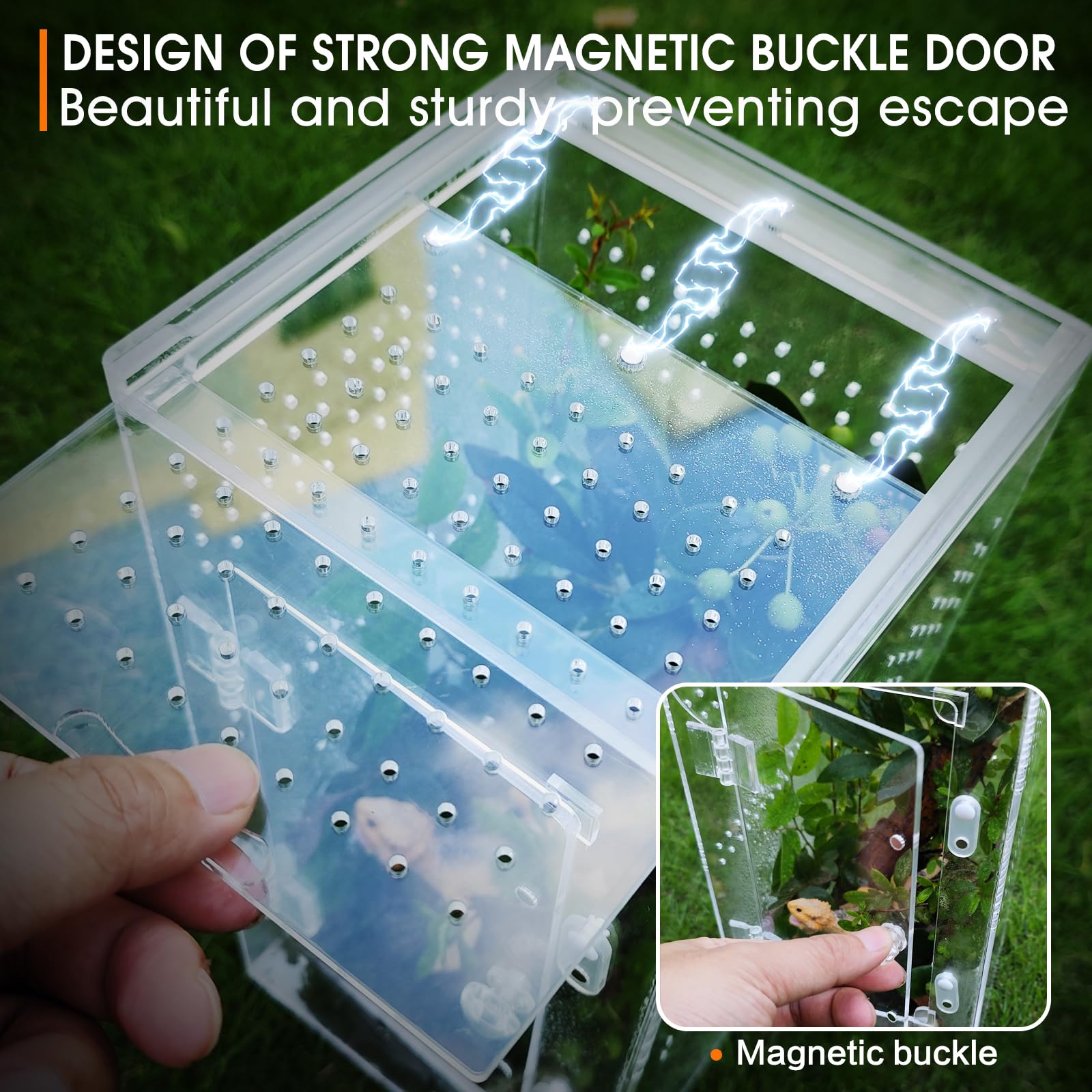MYGIIKAKA grand habitat compact pour arachnides et petits invertébrés.