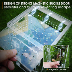 MYGIIKAKA grand habitat compact pour arachnides et petits invertébrés.
