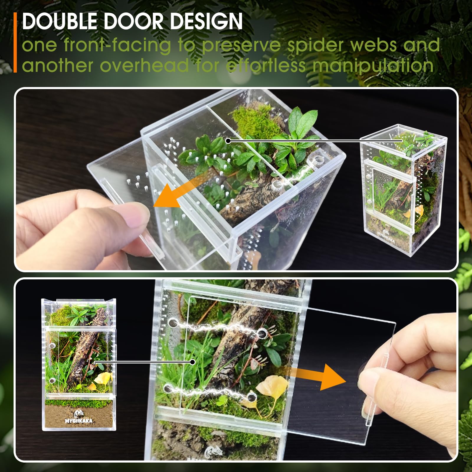 MYGIIKAKA habitat mini araignee: espace compact pour petites créatures