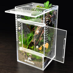 MYGIIKAKA terrarium-insectes 3x3x6: vue nette pour observer les petits animaux