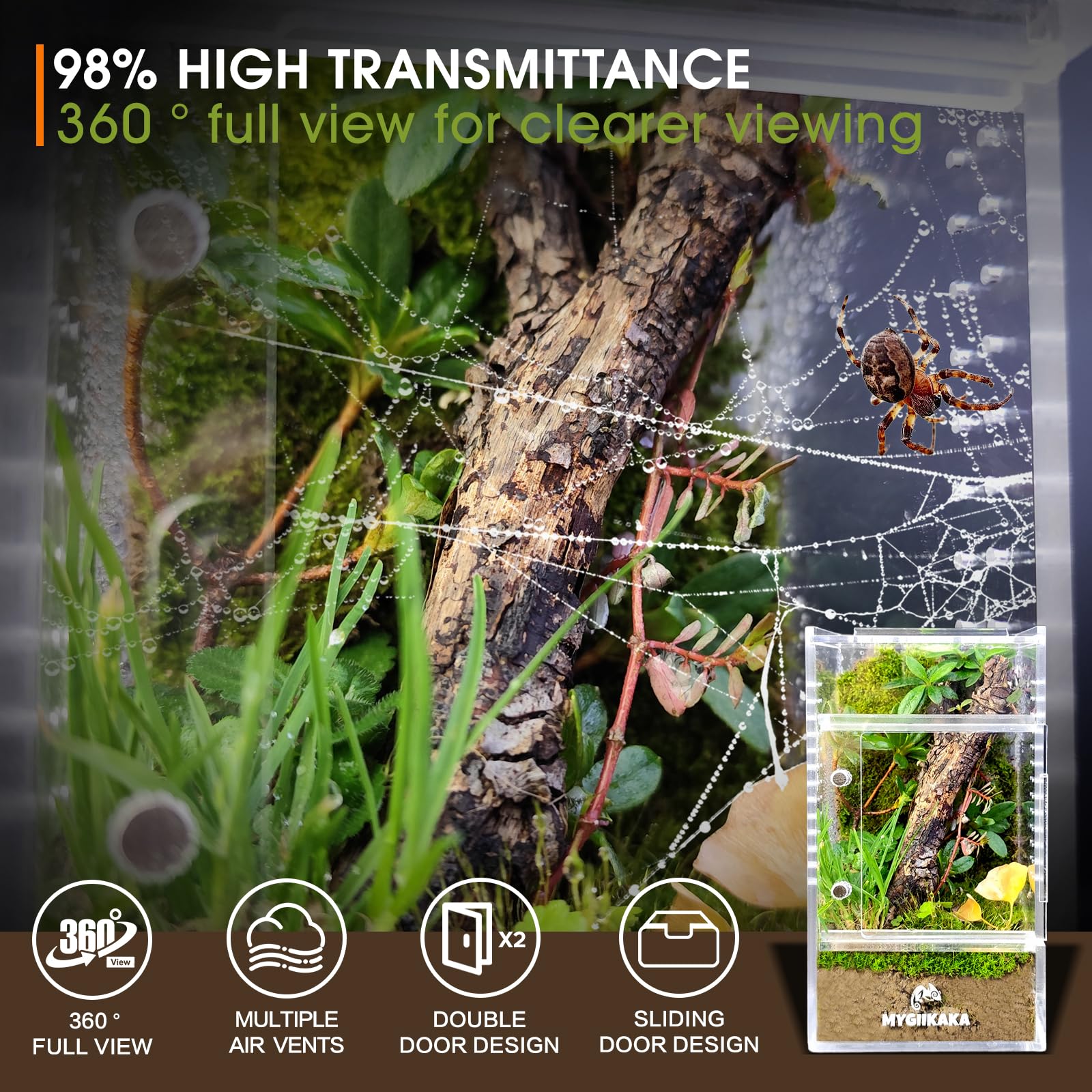 MYGIIKAKA vue claire 98%: surveillance précise des insectes