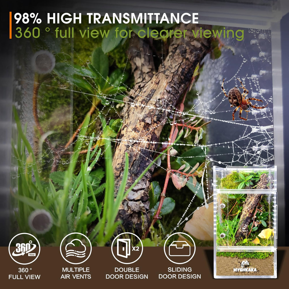 MYGIIKAKA vue claire 98%: surveillance précise des insectes