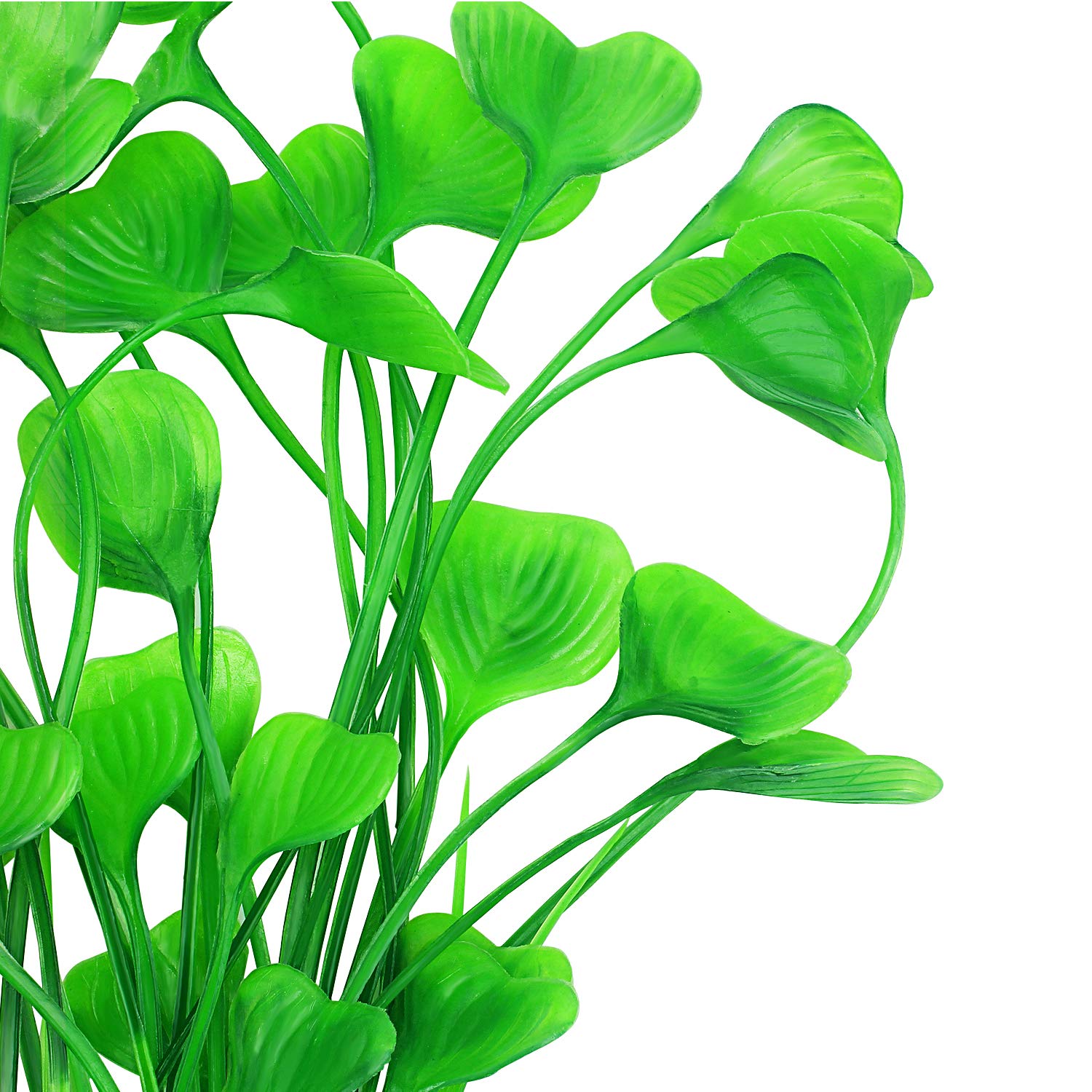 Base en céramique stabilisant les plantes d'aquarium MyLifeUNIT