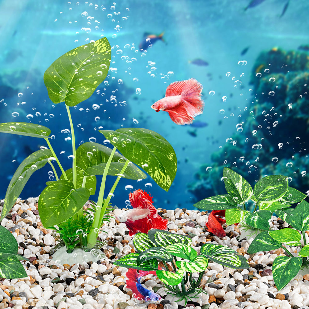 MyLifeUNIT Betta aménagement-aquarium: solution durable et simple à entretenir.