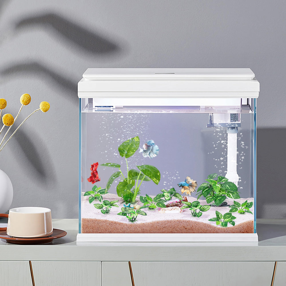 MyLifeUNIT Betta decoration-tank-realiste: ambiance réaliste qui valorise le bac.