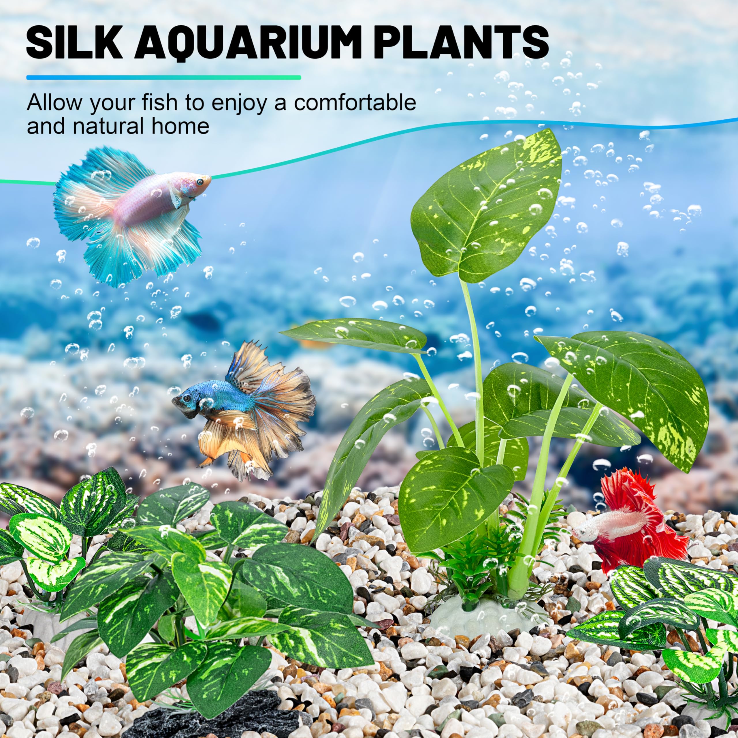 MyLifeUNIT Betta plante-soie-moyenne: ajout naturel et discret dans le milieu aquatique.
