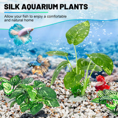 MyLifeUNIT Betta plante-soie-moyenne: ajout naturel et discret dans le milieu aquatique.