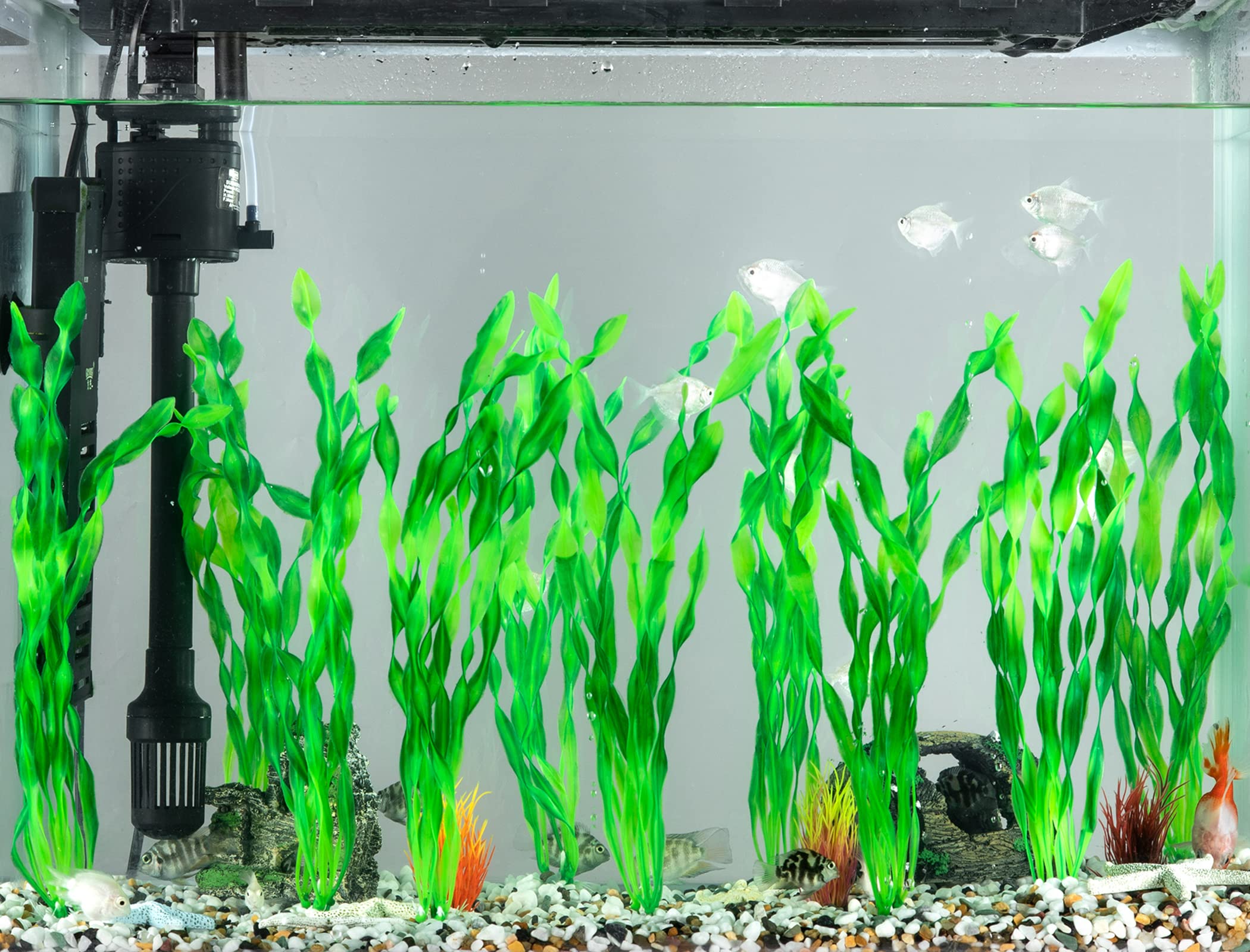 MyLifeUNIT plante plastique aquarium, feuilles douces pour poissons.