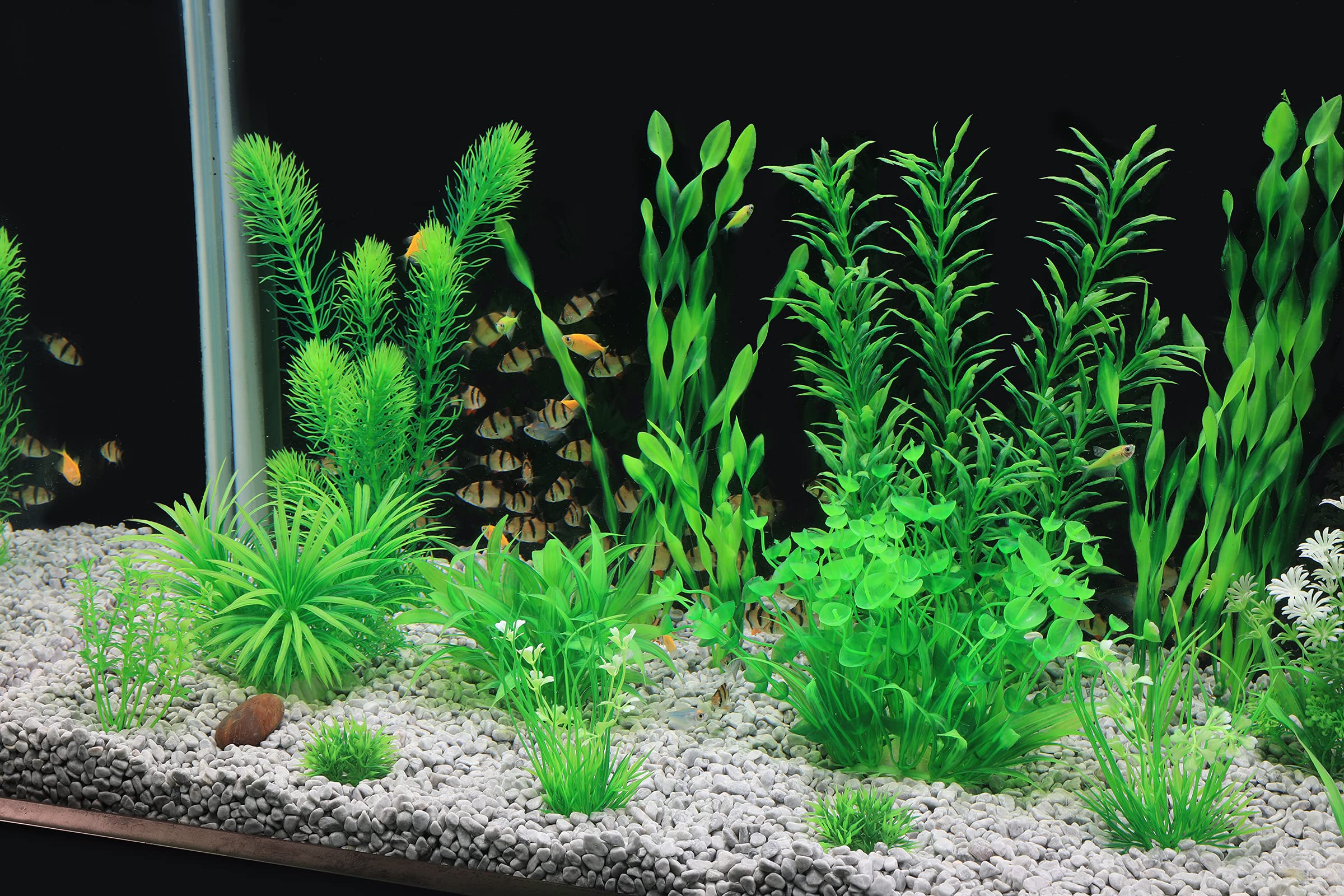 MyLifeUNIT – base en céramique lourde évite le flottement des plantes.