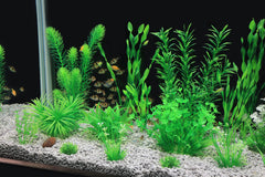 MyLifeUNIT – base en céramique lourde évite le flottement des plantes.
