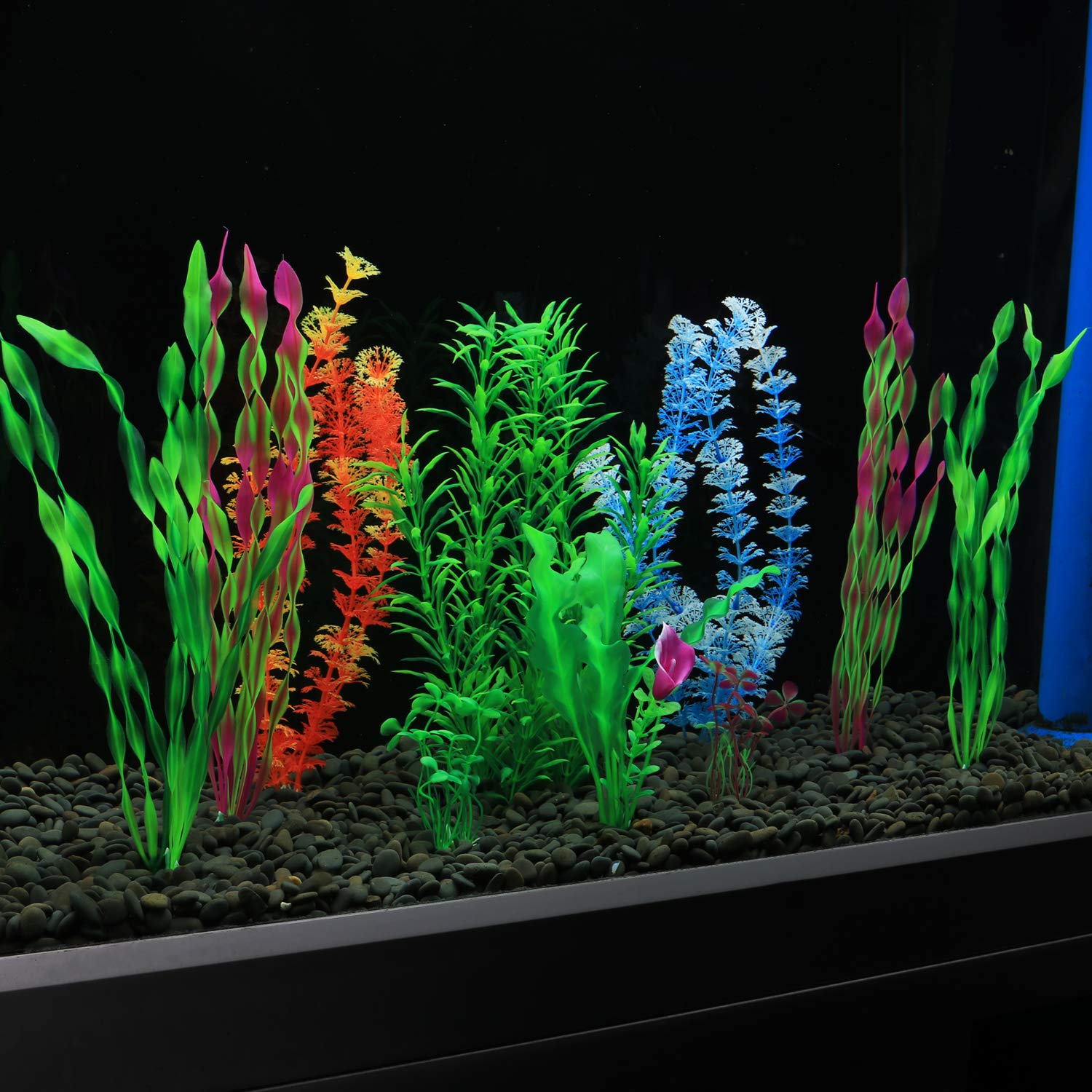 Idéal pour animer l’espace aquatique et créer des cachettes naturelles.