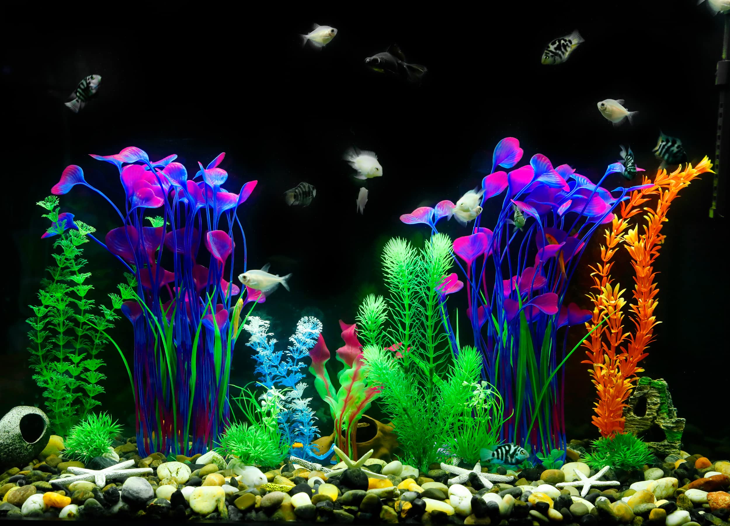 Aspect vertical violet MyLifeUNIT, idéal pour grands aquariums.