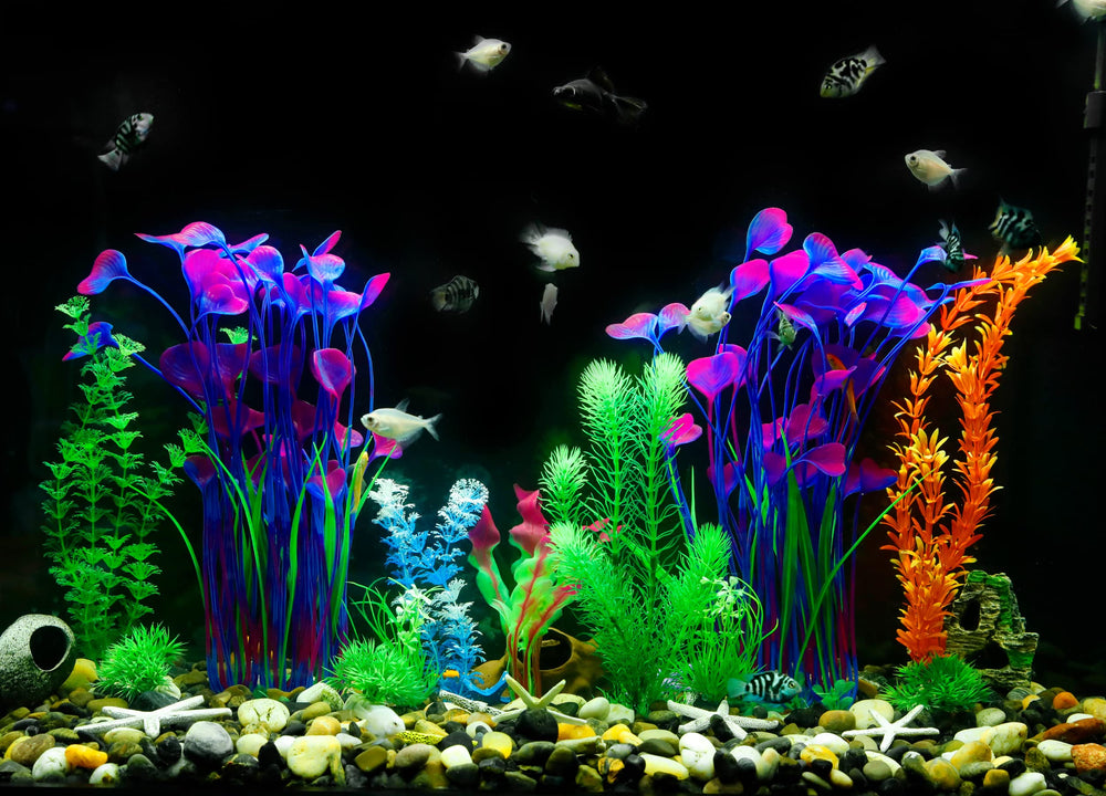 Aspect vertical violet MyLifeUNIT, idéal pour grands aquariums.