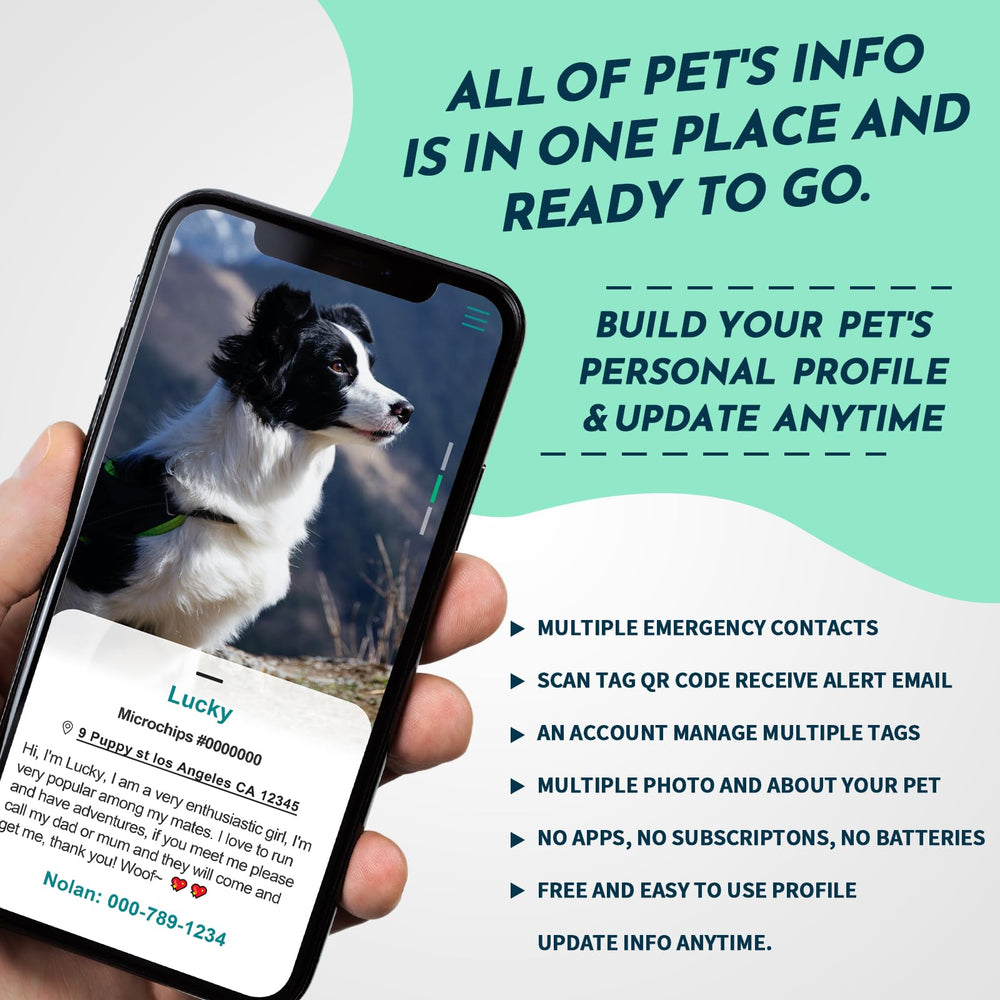 MYLUCKYTAG scanner-qr: activez le profil sans application.