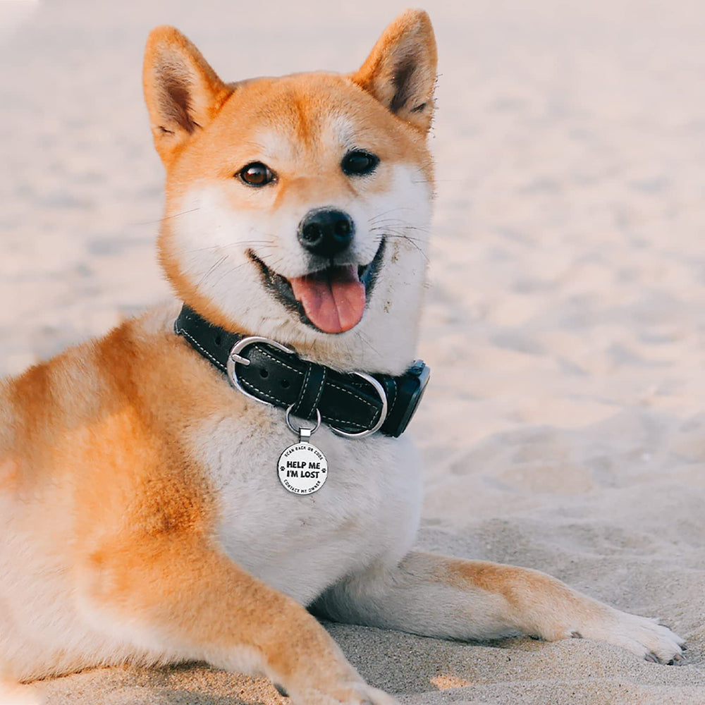 MYLUCKYTAG profil-animal-en-ligne : profil en ligne utile en situation d’urgence.