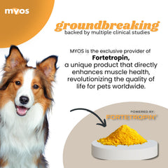 MYOS Canine Muscle Formula – Doseur, dosage précis pour chien de tout âge.