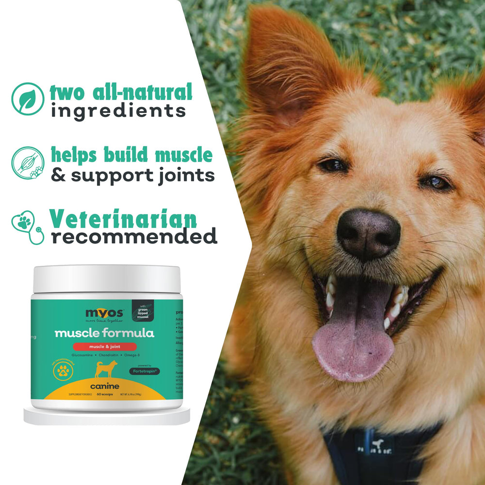 MYOS Muscle et Joint – étiquette du produit, aperçu des ingrédients naturels.
