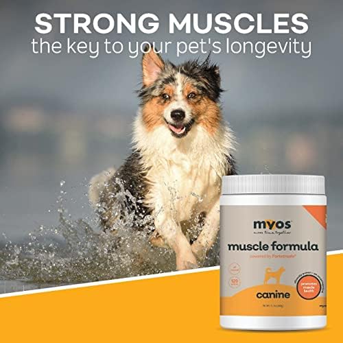 Fortetropin, ingrédient clé MYOS, dans le produit pour muscles canins.