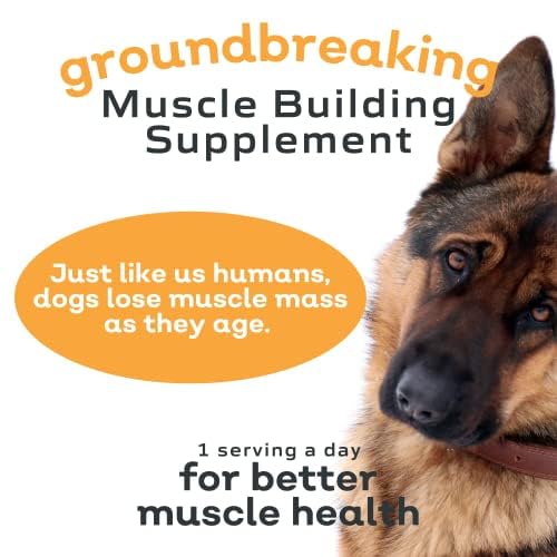MYOS Canine Muscle Formula favorisant mobilité et vitalité canine.