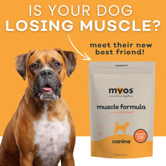MYOS Canine Muscle Formula – Pilules, administration facile dans la routine.