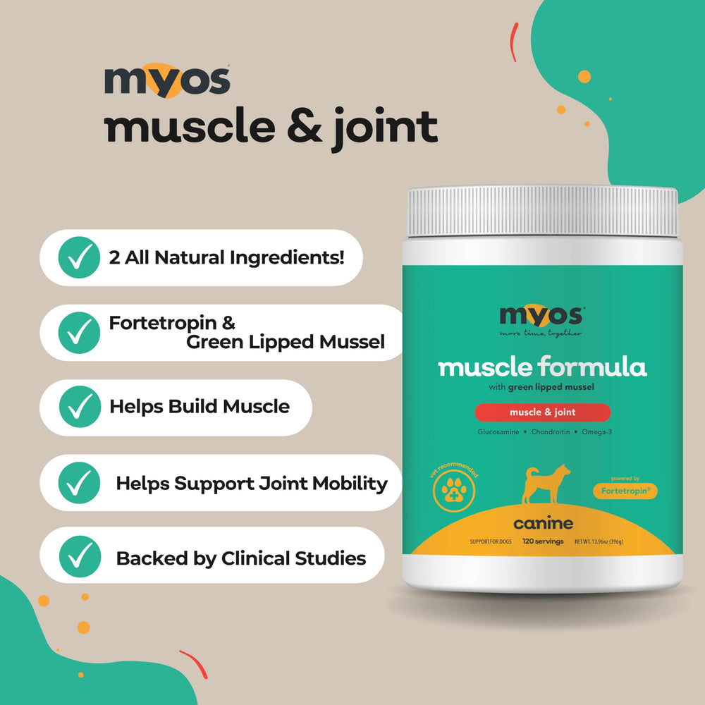 MYOS Canine Muscle Formula – pot 396 g, rangement pratique pour routine quotidienne.