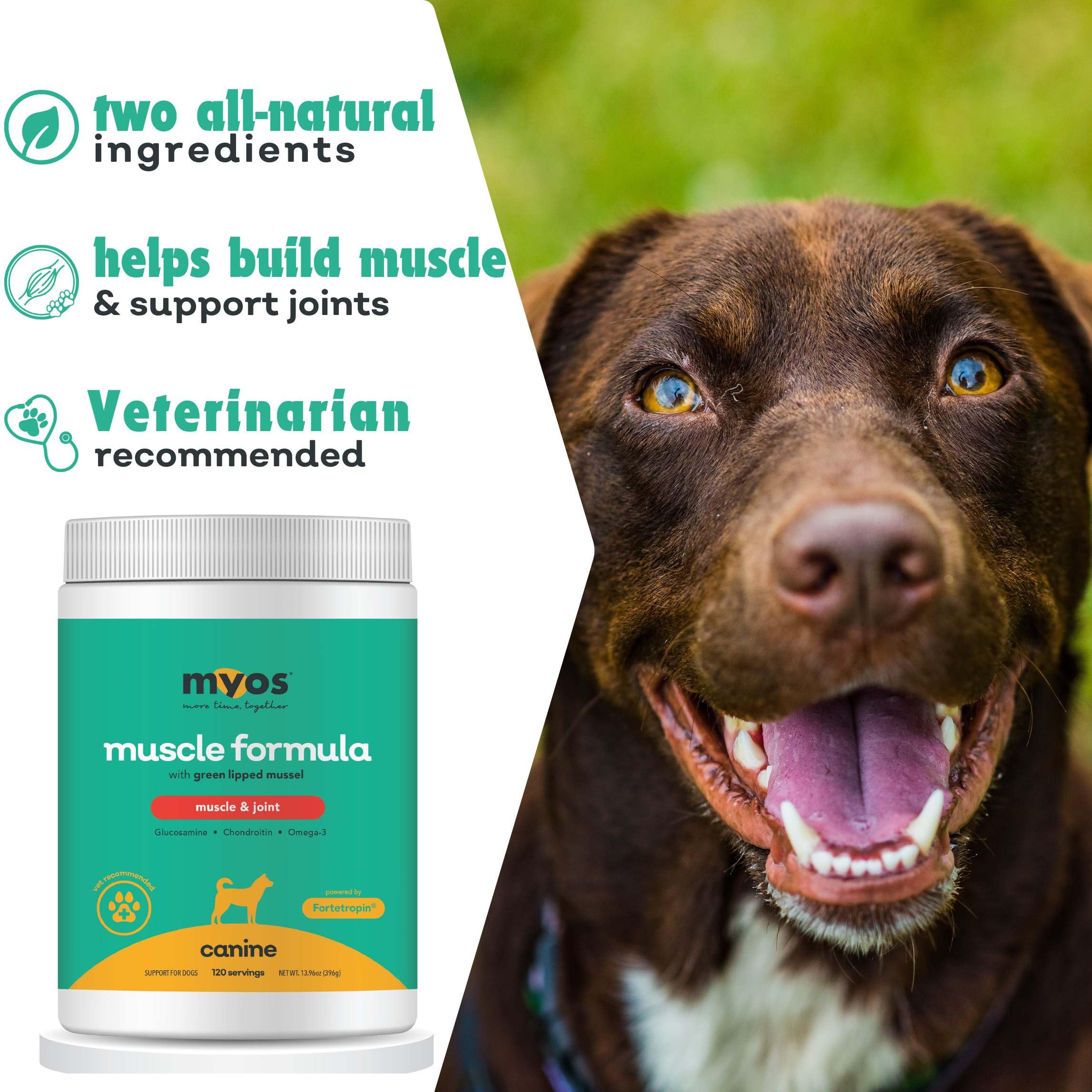 MYOS Canine Muscle Formula – sans gluten, option adaptée à de nombreux chiens.