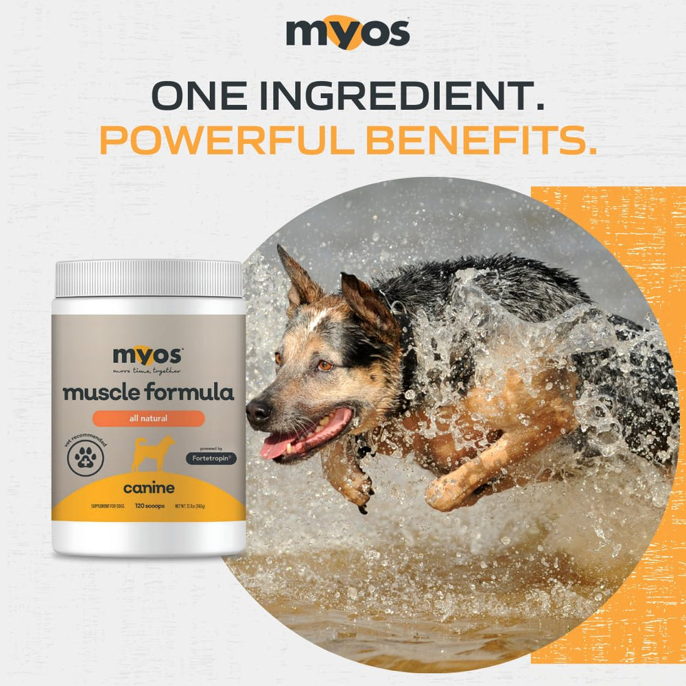 Promesse de satisfaction MYOS pour les propriétaires d animaux.