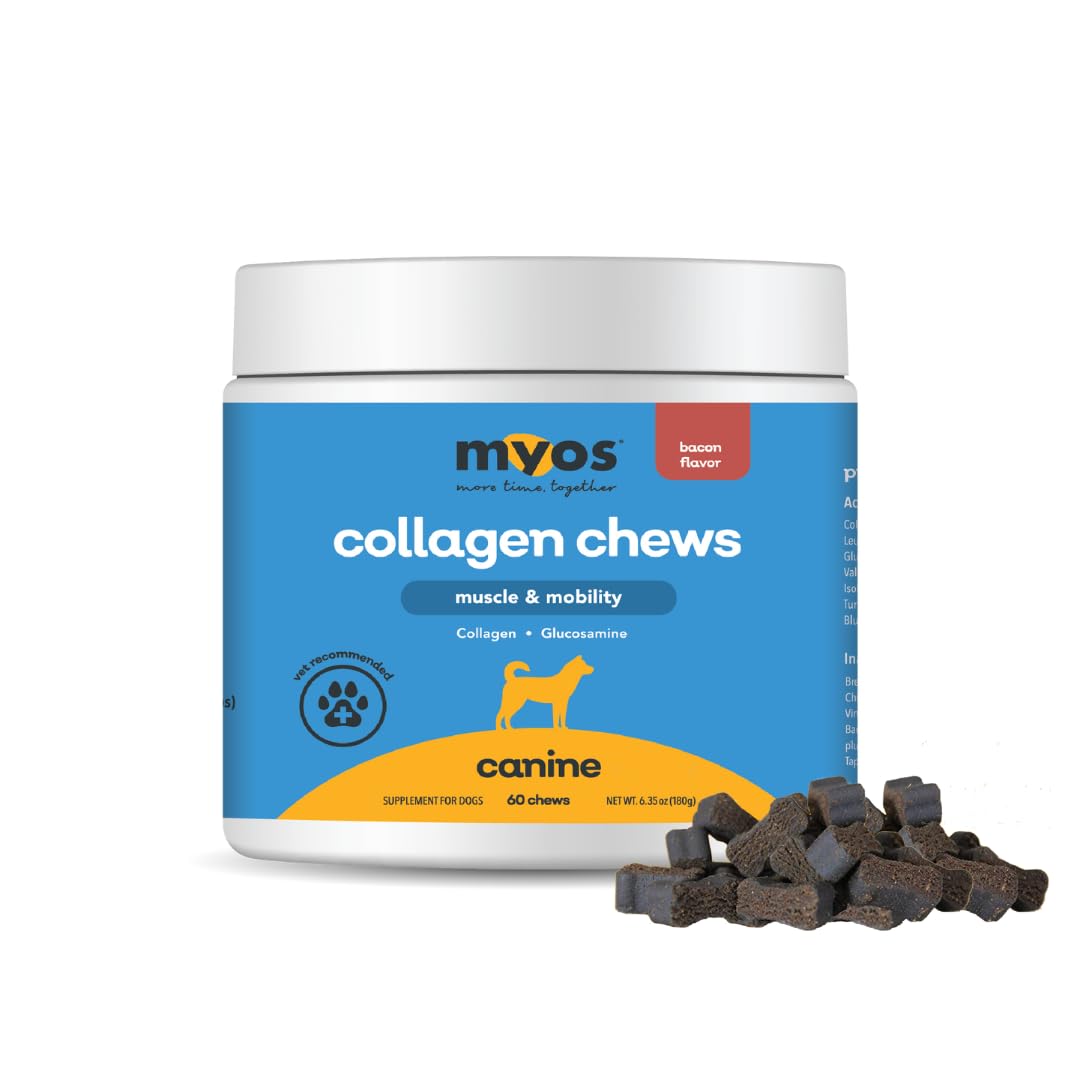 MYOS Canine Muscle & Mobility Chews, saveur bacon, soutien mobilité quotidien