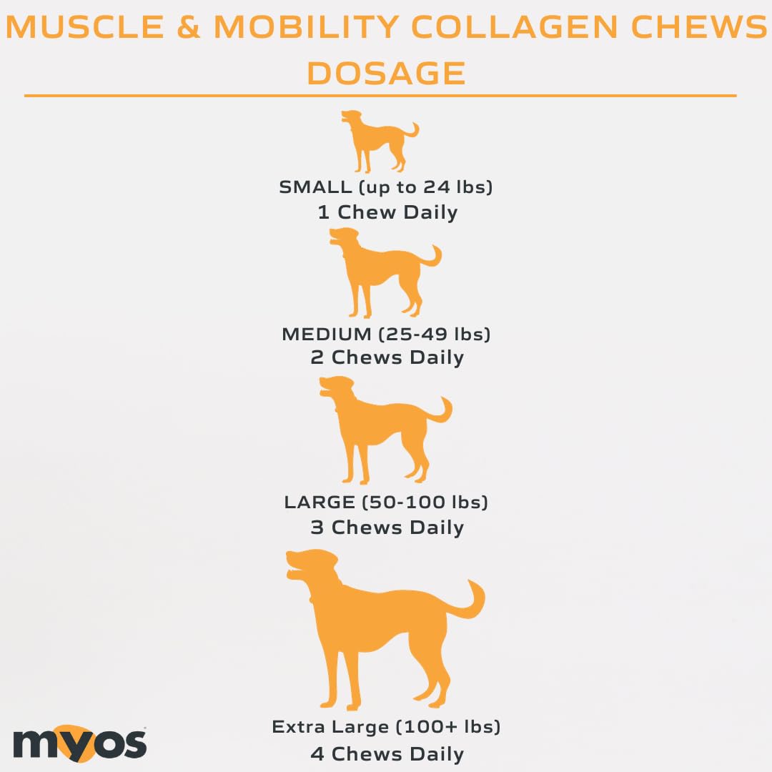 MYOS Canine Muscle & Mobility Chews, 60 bouchées, utilisation quotidienne