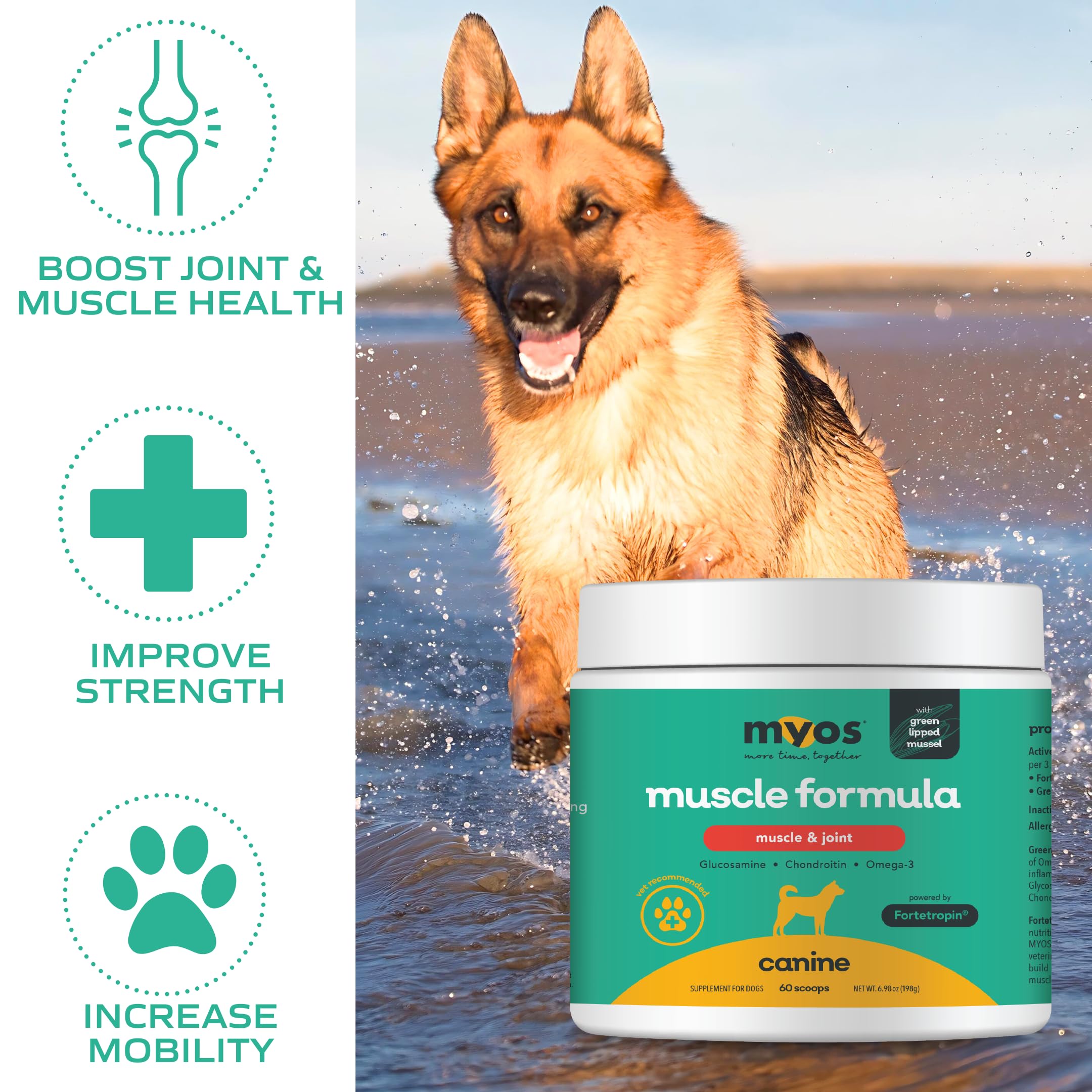 Glucosamine – élément clé pour la mobilité et la flexibilité.
