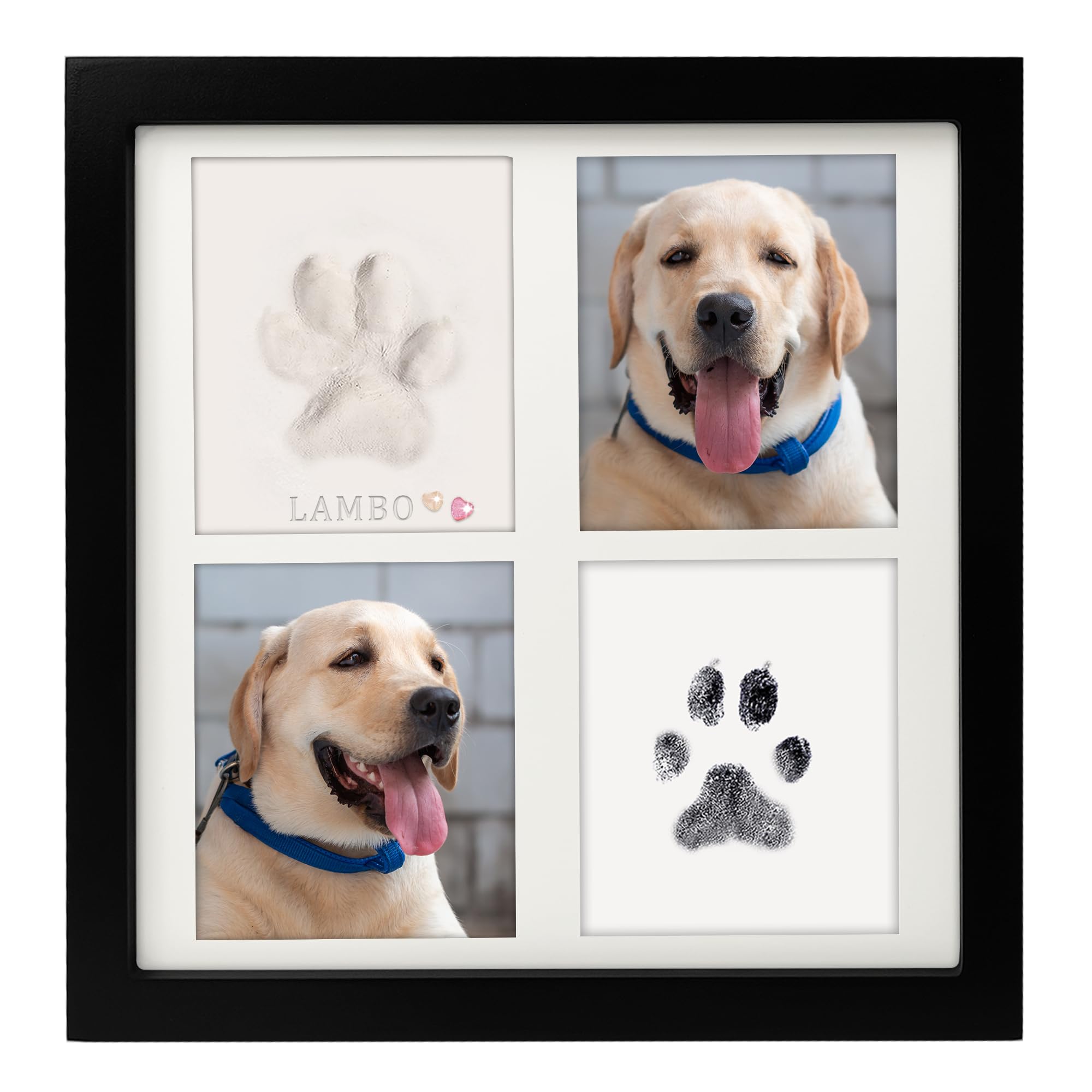 MYPAWLETS argile empreinte patte : capture précise et durable pour vos souvenirs.