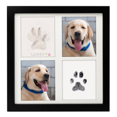 MYPAWLETS argile empreinte patte : capture précise et durable pour vos souvenirs.