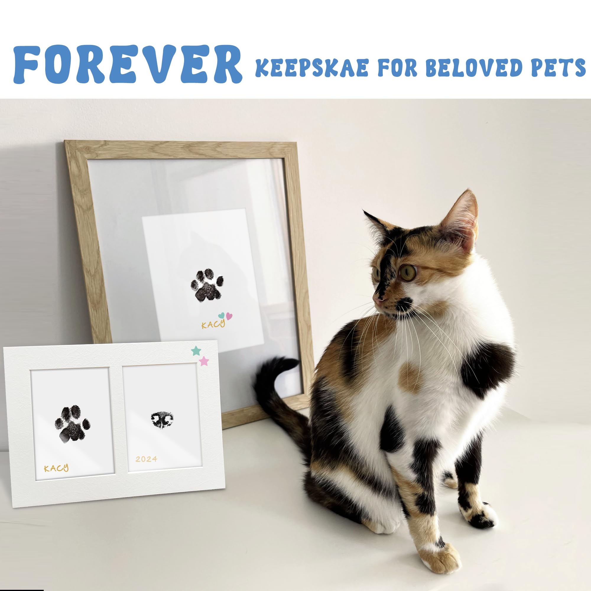 MYPAWLETS coffret cadeau kit pour amoureux des animaux