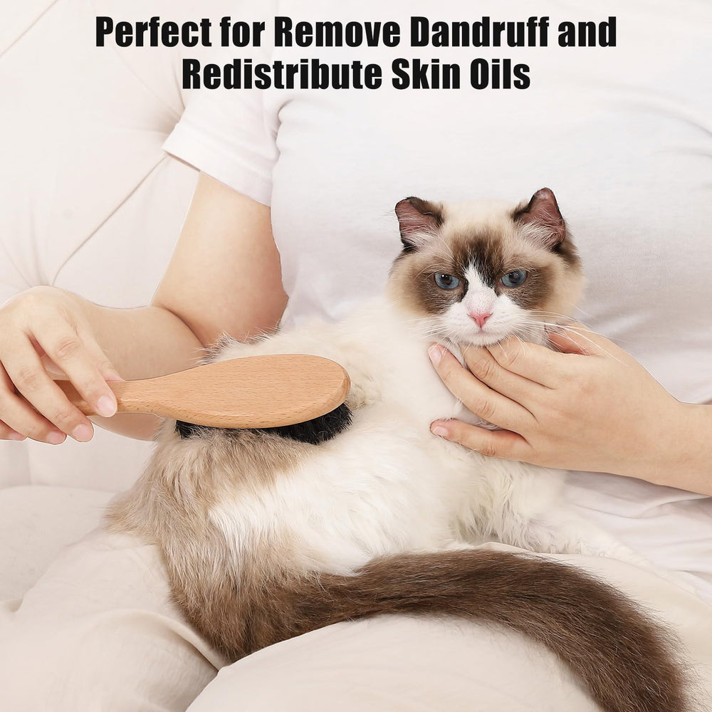 Brosse Myselect utilisée sur le pelage d'un chat pour un brossage sûr